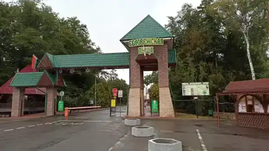 Belovezhskaya pushcha №2 - 12