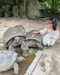 Constance Ephelia, Mahe - 18