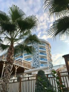 Dream World Hill - 33