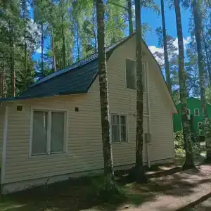 Ryabinushka - 8
