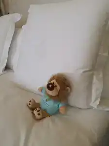 Four Seasons Lion Palace - 87