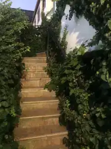 АНДАЛУСИЯ - 62