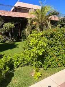 Club Felicia Village - All Inclusive - 86