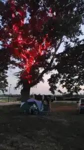 Park-otel Rubas - 86