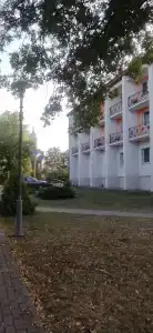 Belovezhskaya pushcha №2 - 35