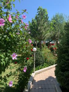 Navruz - 6