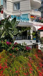 Citrus Luna Suite - 10