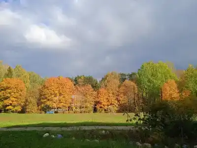 Sanatoriy Shchelykovo - 57