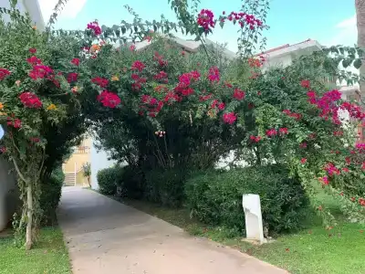 Corendon Hydros Club - 90