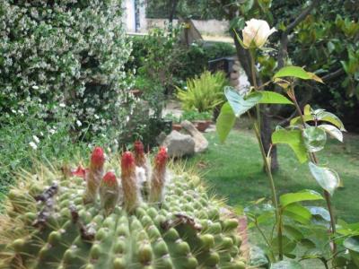 Bed and Breakfast Dessole - 15