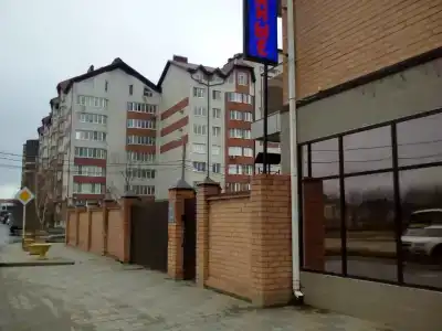 Lotos - 52