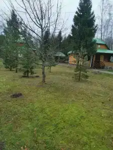 Detskiy Sanatoriy "Rosinka" - 75