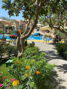 Novotel Bahrain Al Dana Resort - 58