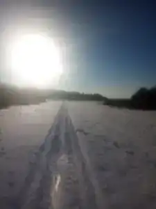 Baza Otdykha Monte-Karlo - 42