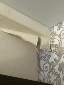 Кардинал - 50