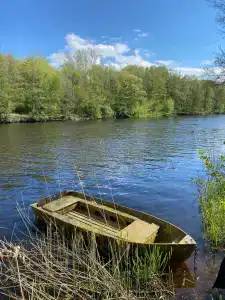 Камыши база отдыха - 3