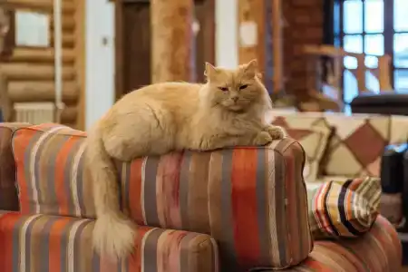 Gorodskaya Bobrovaya Dolina - 6