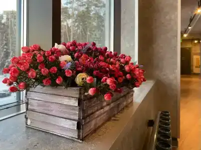 Ibis Moscow Domodedovo Airport - 11