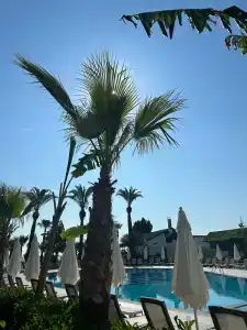 Armas Beach - 50