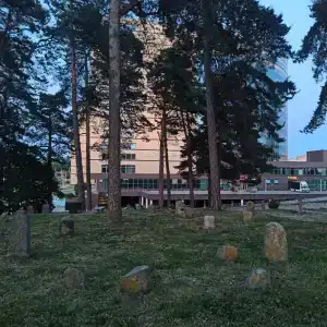 Виктория Олимп и бизнес-центр Минск - 32