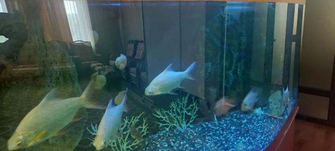 Sindika Spa-Hotel - 31