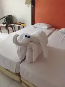 Sharm Resort - All Inclusive - 14