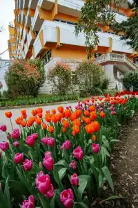 Uzhnoe Vzmorie Health Resort - 13