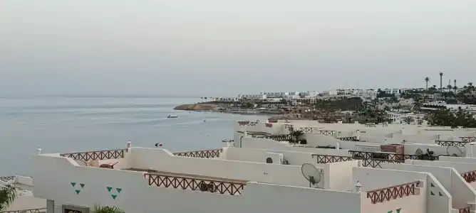 Shark Bay Oasis - 22