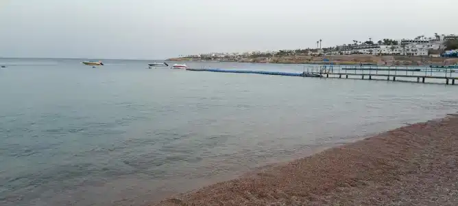 Shark Bay Oasis - 27