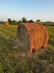 ZaGrad Tourist base - 5