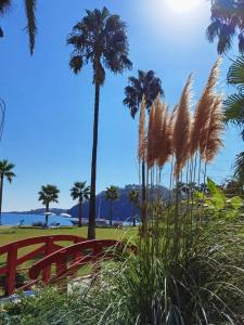 Kilikya Resort Camyuva (Former Elize Beach Resort) - 75