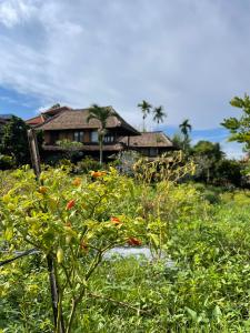 Alpin Resort and Villa Ubud - 14