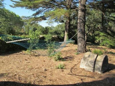 Parco della Vigna - 30