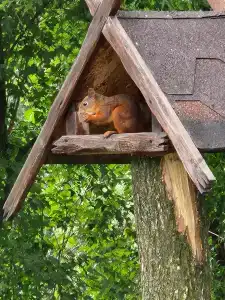 Holiday Inn Express - Khovrino, an IHG - 38