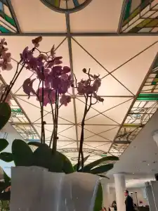 Moscow Marriott Grand - 98