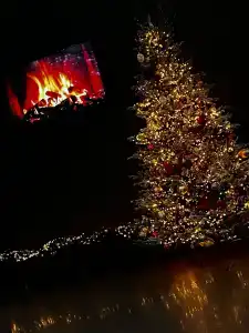 Славянская - 71