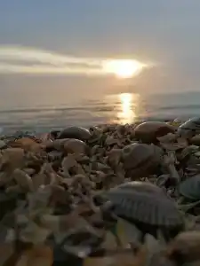 Morskaya Volna Guest house - 3