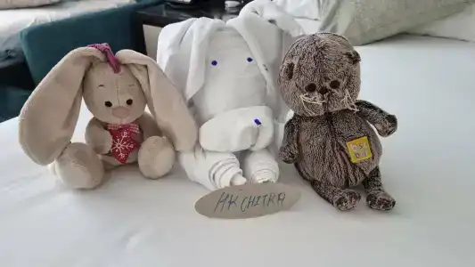 Riu Dubai Beach Resort - All Inclusive - 73