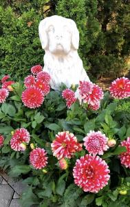 Парк-Замковый - 35