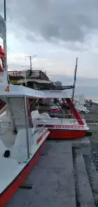 Кардинал - 20