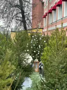 Glinz By Ginza Project - 85