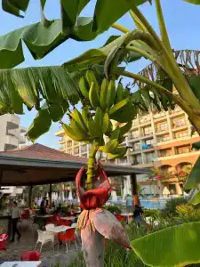 Club Sun Heaven - 45