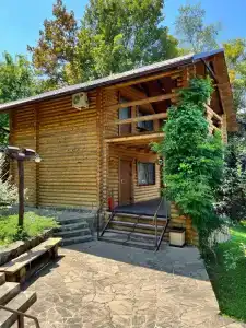 Zagorodny Klub Kura Tse Tse - 37