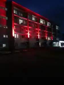 Sanatorium Sosnovyy bor - 73