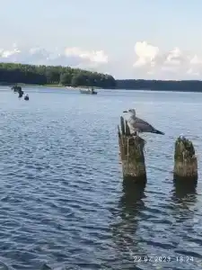 Recreation center Himik - 15