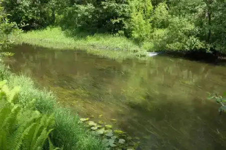 Guest house Biver resort - 7