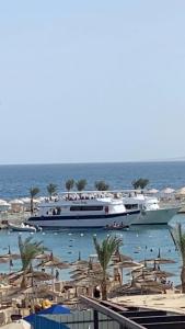 Beach Albatros Resort - 29