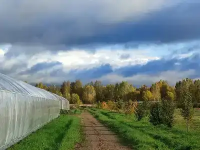 Эко-отель Агропарк Ясенево - 74