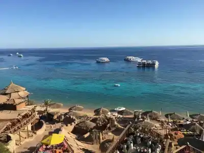 Falcon Naama Star - 27