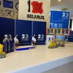 АМАКС Визит-отель - 28